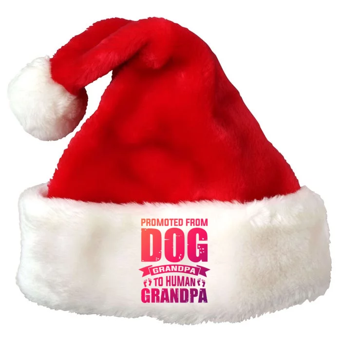 Promoted From Dog Grandpa To Hu Grandpa Cute Gift Premium Christmas Santa Hat