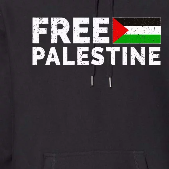 Palestine Flag Free Gaza Premium Hoodie