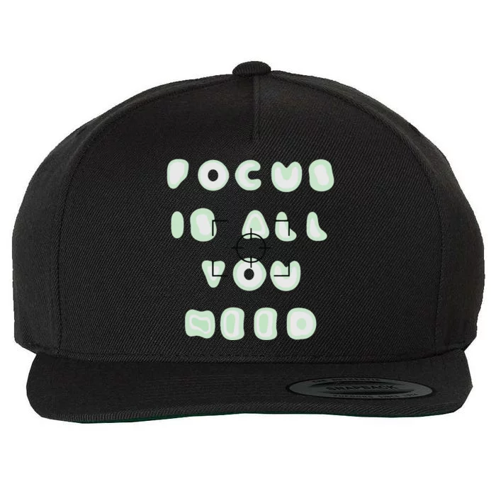 Photographer Focus Is All You Need Camera Lovers Gifts Wool Snapback Cap