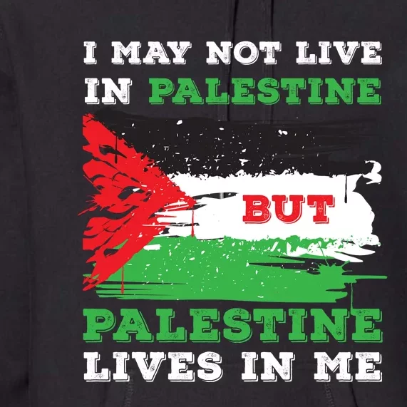 Palestine Flag Lives In Me. Free Palestine Gaza Palestinians Premium Hoodie