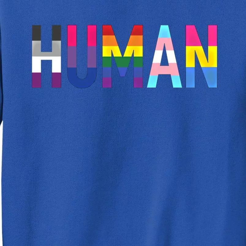 Pride Flags Lgbtq That Says Hu Gift Tall Sweatshirt