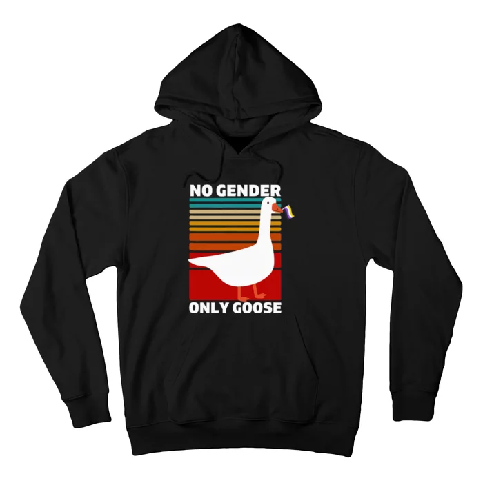 Pride Funny No Gender Only Goose Lgbtq Enby Flag Hoodie