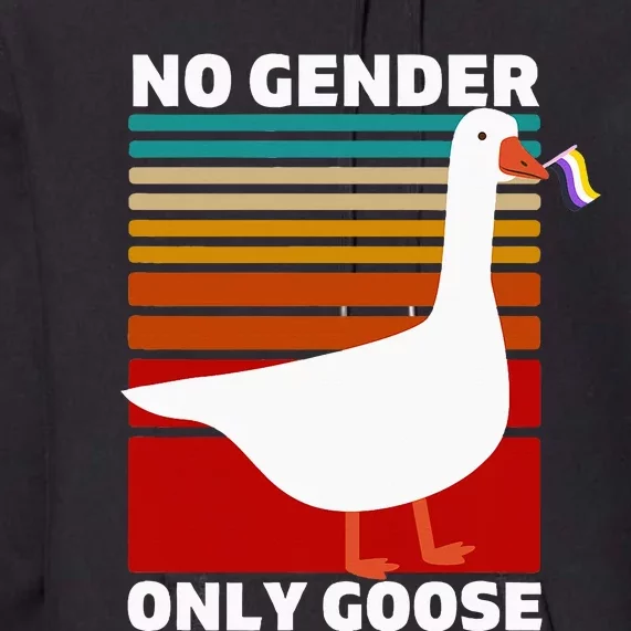 Pride Funny No Gender Only Goose Lgbtq Enby Flag Premium Hoodie