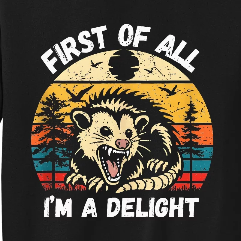 Possum First Of All I Am A Delight Sarcastic Angry Opossum Tall Sweatshirt