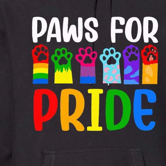 Paws For Pride Month Lgbtq Gay Lesbian Pets Cats Dogs Lover Premium Hoodie