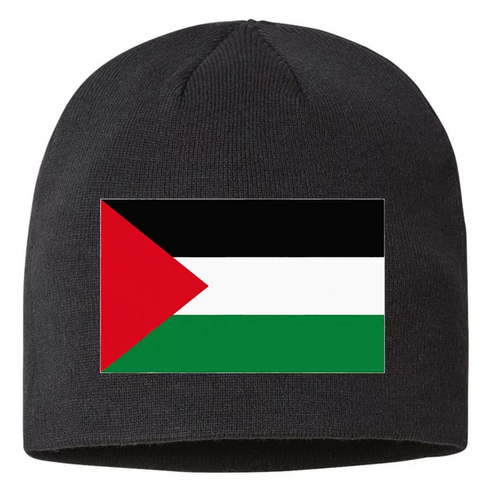 Palestine Flag Palestinian Pride Peace Love 8 1/2in Sustainable Knit Beanie