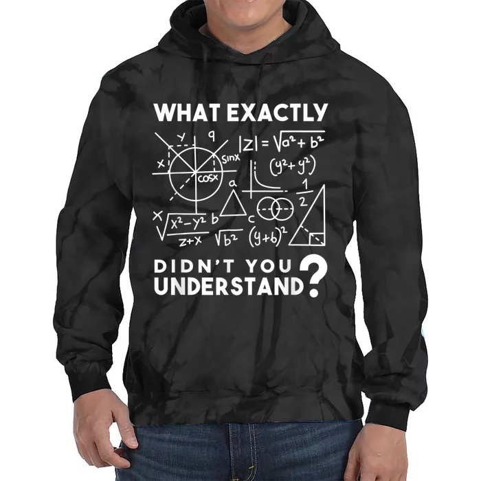 Physicist Funny Science Gift Idea Physicist Math Physics Tie Dye Hoodie