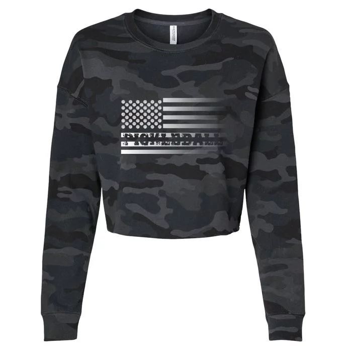 Pickleball Flag Transparent Distressed Cropped Pullover Crew