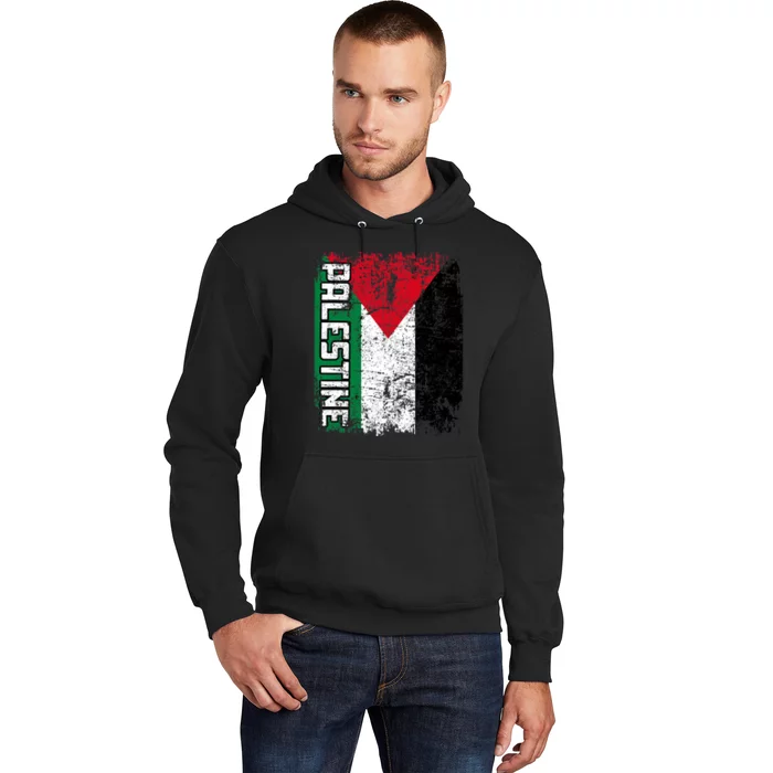 Palestine Flag | Vintage Big Palestine Flag Hoodie