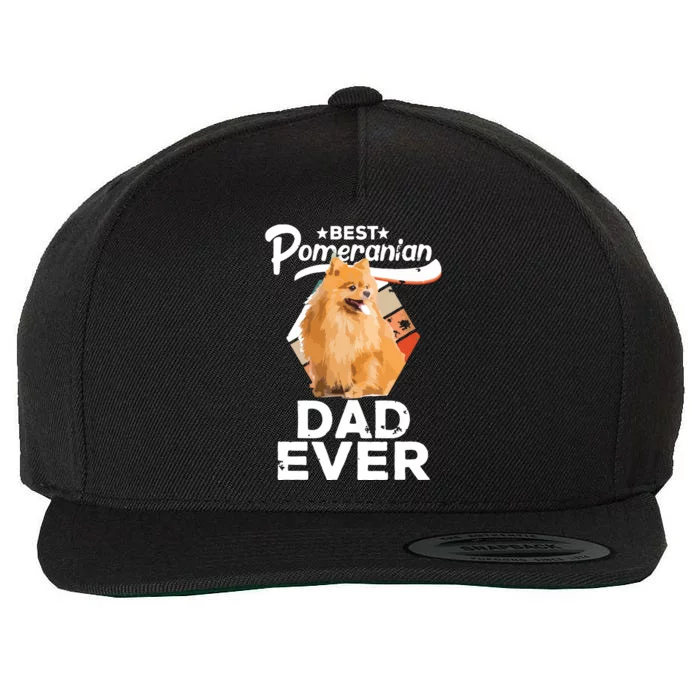 Pomeranian Gifts For Men Best Pomeranian Dad Ever Wool Snapback Cap