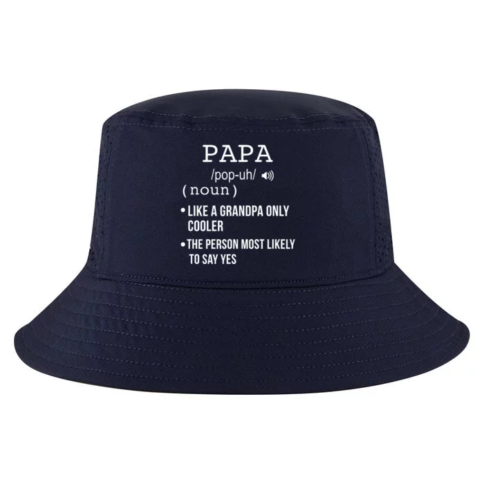 Papa Gift From Grandkids Father's Day Shirt Papa Definition Cool Comfort Performance Bucket Hat