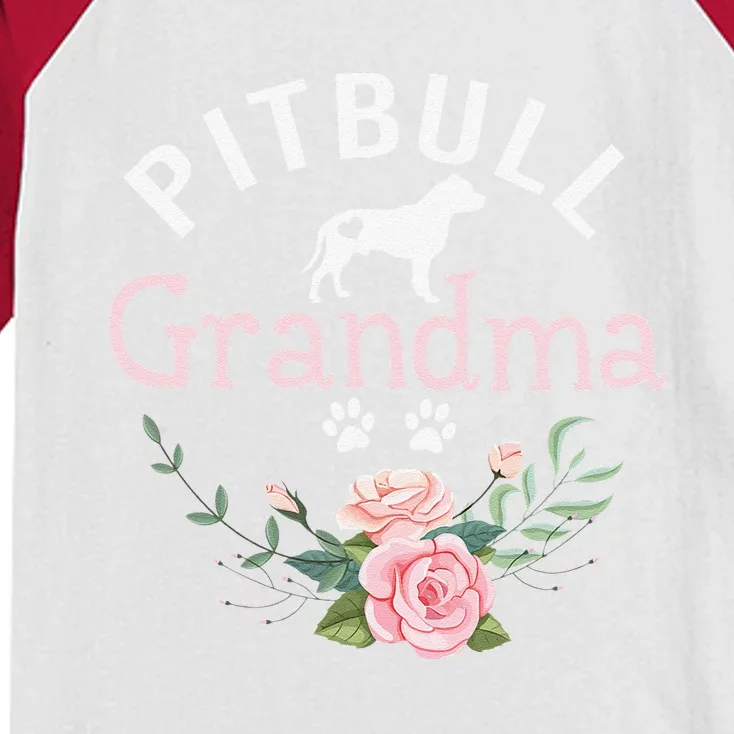 Pitbull Grandma Gifts Womens Mom Pitbull Dog Lover Christmas Kids Colorblock Raglan Jersey