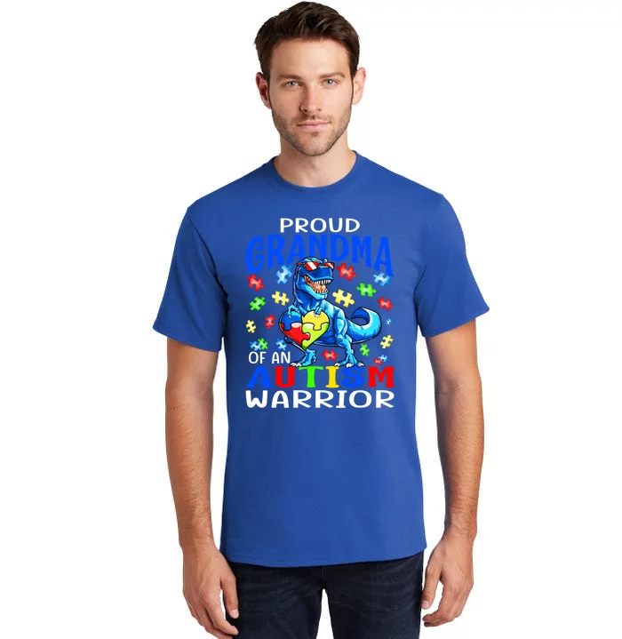 Proud Grandma Of An Autism Warrior Dinosaur Cool Gift Tall T-Shirt