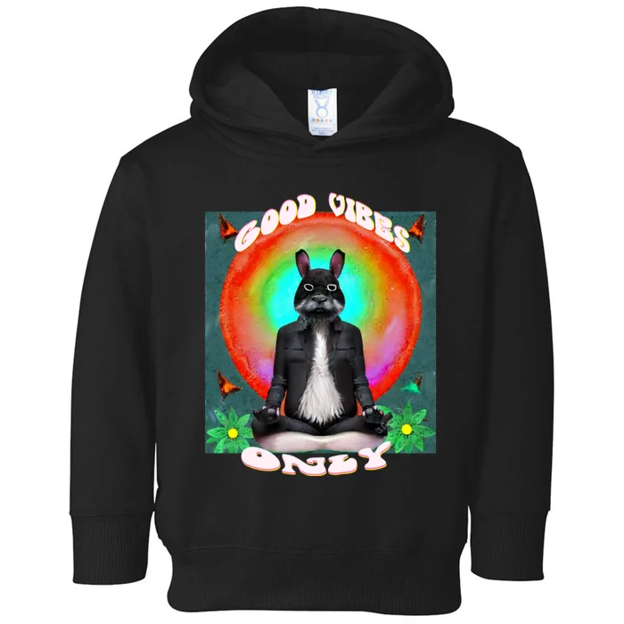 Positive, Good Vibes With A Meditating Rabbit Toddler Hoodie