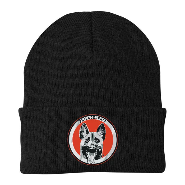 Philadelphia Hockey Dogs Knit Cap Winter Beanie