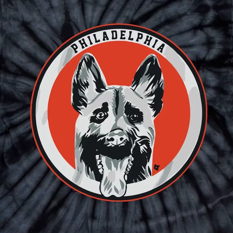 Philadelphia Hockey Dogs Tie-Dye T-Shirt