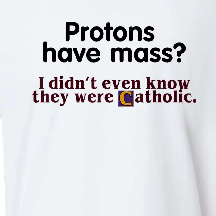 Protons Have Mass I Didn't Even Know They Were Catholic Sueded Cloud Jersey T-Shirt