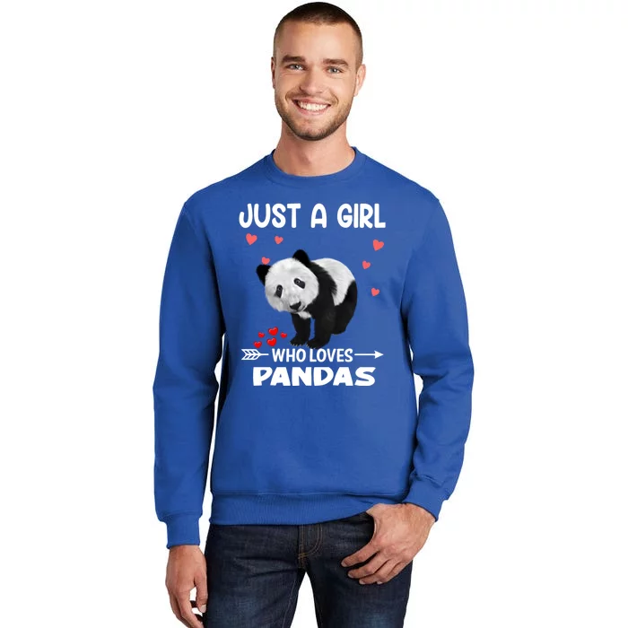 Panda Heart Valentines Day Gift Animal Bear Lover Gift Tall Sweatshirt