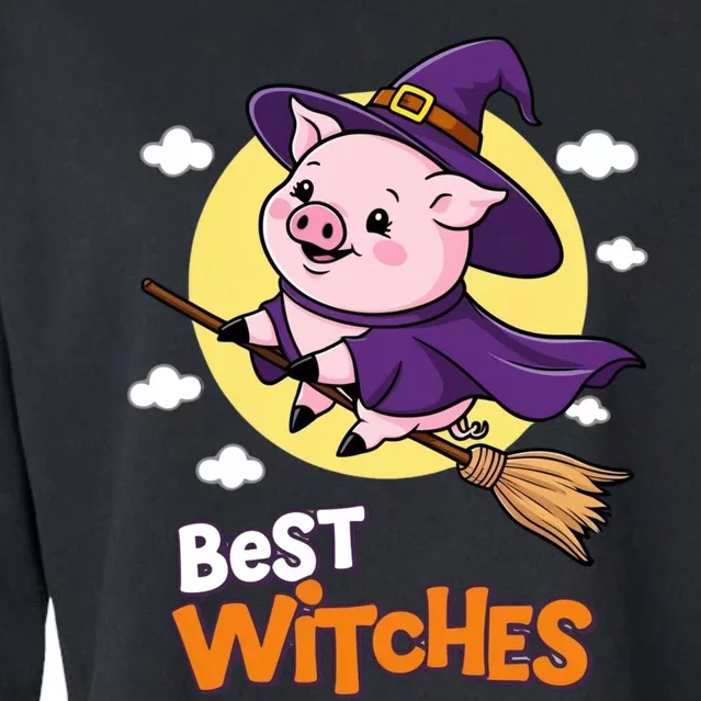 Pig Halloween Witches Costume Pigs Best Witches Cropped Pullover Crew