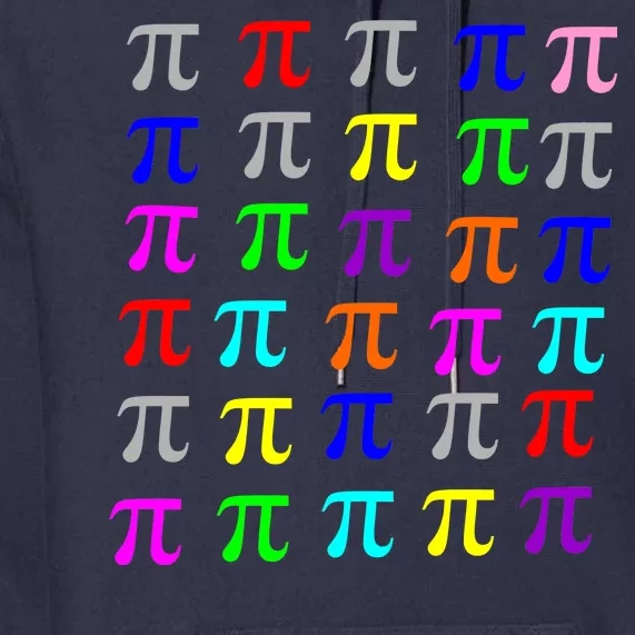 Pi Plaid Rainbow Pride Pi Day Collage Premium Hoodie