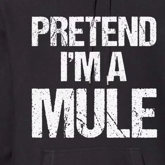 Pretend I'm A Bat Funny Lazy Halloween Costume Premium Hoodie