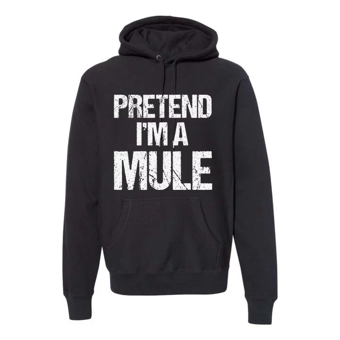 Pretend I'm A Bat Funny Lazy Halloween Costume Premium Hoodie