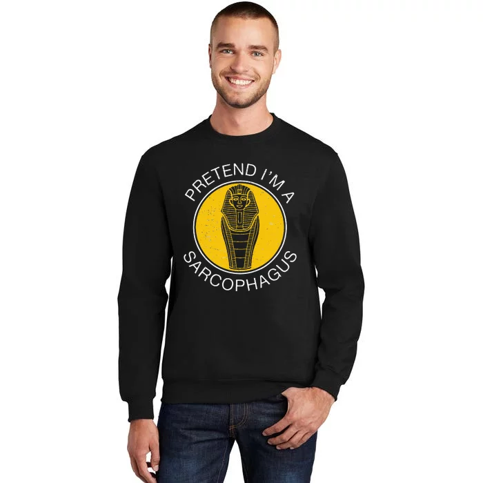 Pretend IM A Sarcophagus Funny Ancient Egypt Artifacts Fans Tall Sweatshirt