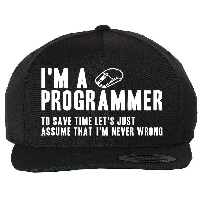 Programmer Is Always Right Software Engineer Programming Gift Wool Snapback Cap