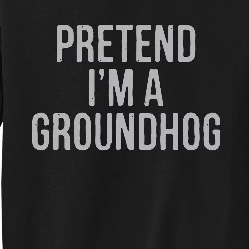 Pretend Im A Groundhog Lazy Halloween Costume Tall Sweatshirt