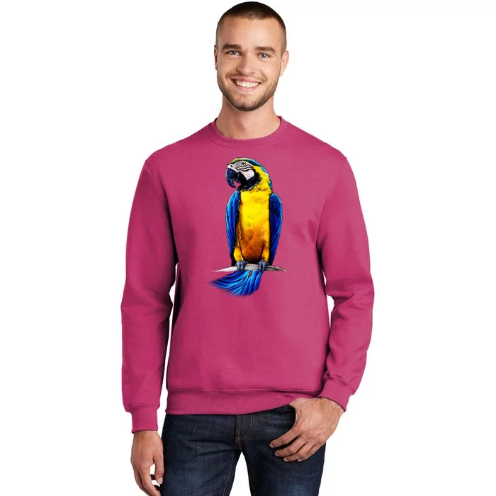 Parrot In Clouds Sweatshirt