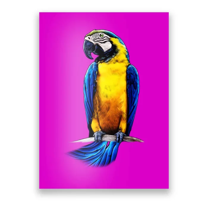 Parrot In Clouds Poster