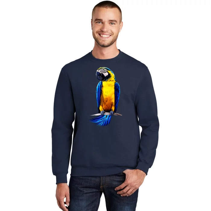 Parrot In Clouds Tall Sweatshirt