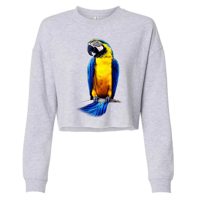 Parrot In Clouds Cropped Pullover Crew