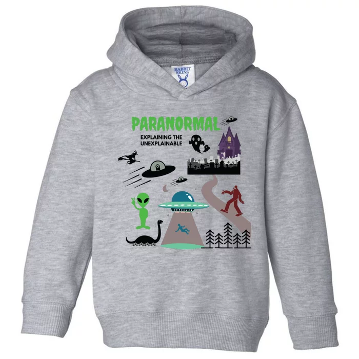 Paranormal Investigator Funny Ghost Hunting Toddler Hoodie