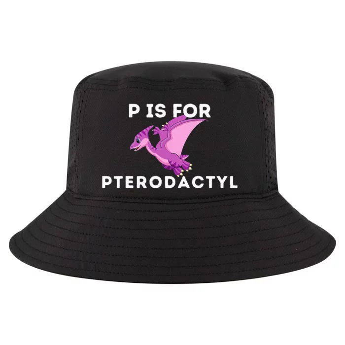 P Is For Pterodactyl Dinosaur Word Play Cool Comfort Performance Bucket Hat