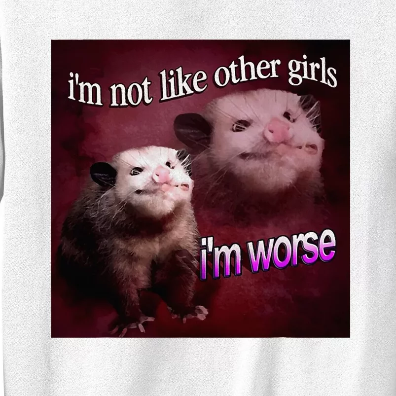 Possum I’M Not Like Other I’M Worse Sweatshirt