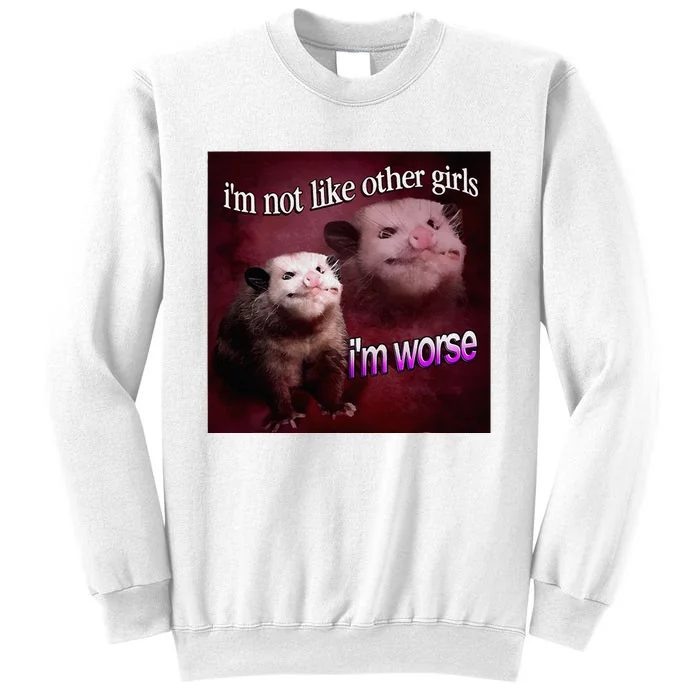 Possum I’M Not Like Other I’M Worse Sweatshirt