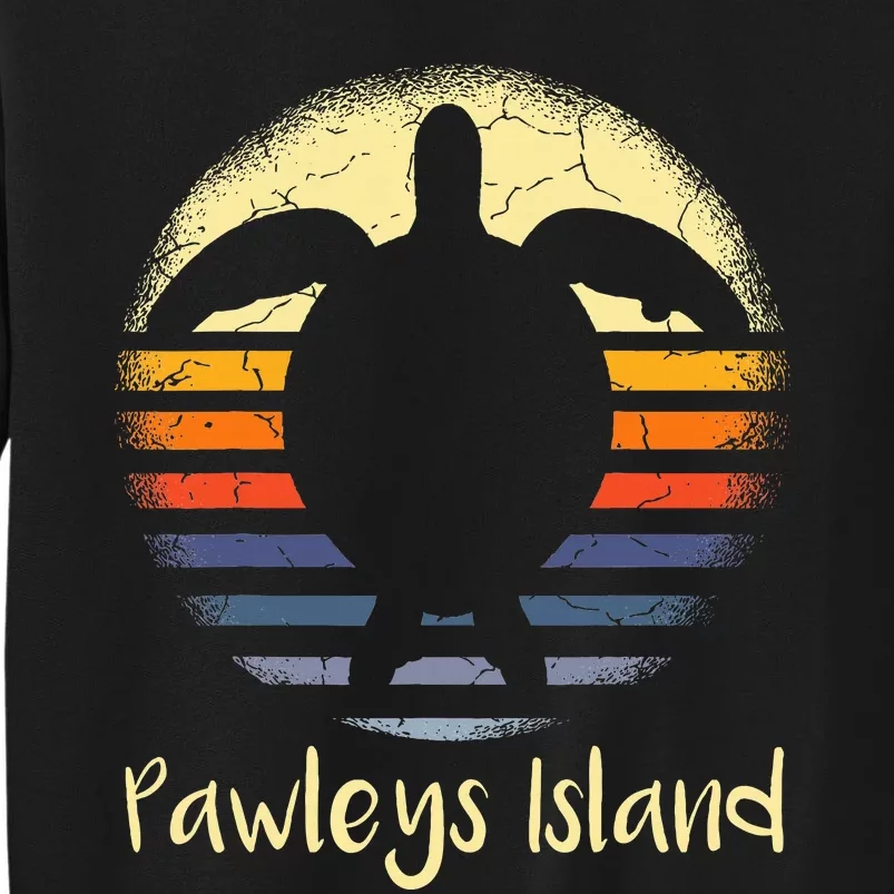 Pawleys Island South Carolina Sc Loggerhead Sea Turtle Lover Sweatshirt