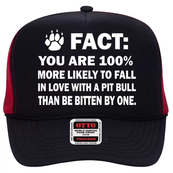 Pit Bull Funny Fact High Crown Mesh Trucker Hat