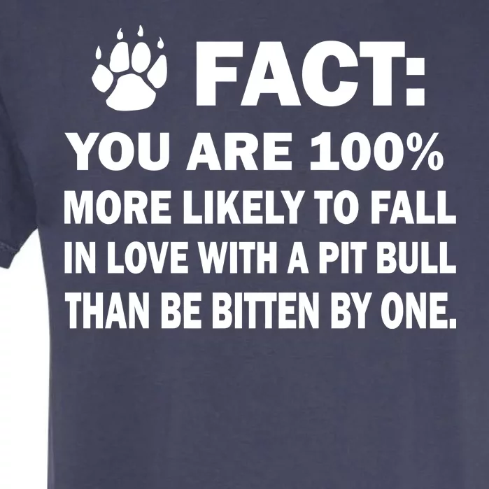 Pit Bull Funny Fact Garment-Dyed Heavyweight T-Shirt