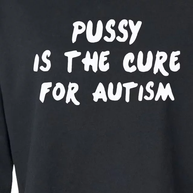 Pussy Is The Cure For Autism Cropped Pullover Crew