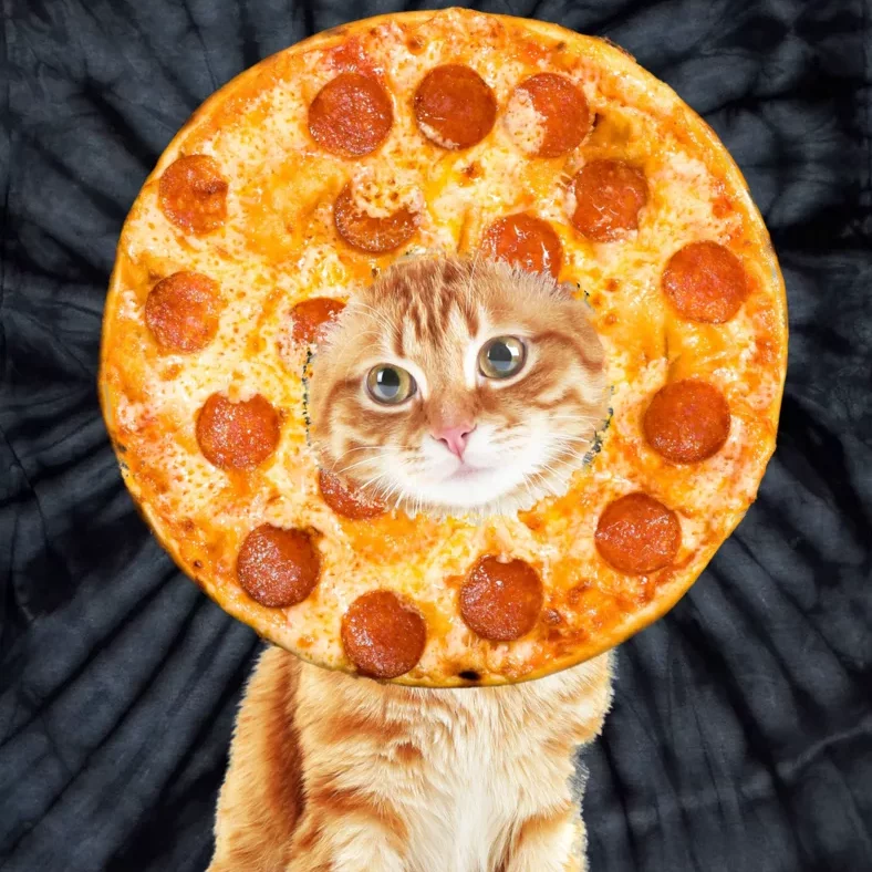 Pizza Cat Tie-Dye T-Shirt