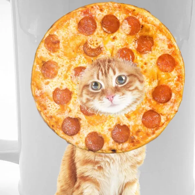 Pizza Cat Front & Back Beer Stein