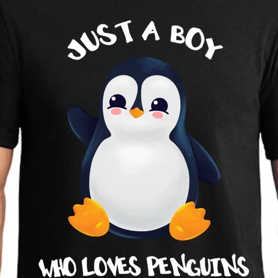 Penguin Just A Boy Who Loves Penguins Gift Pajama Set