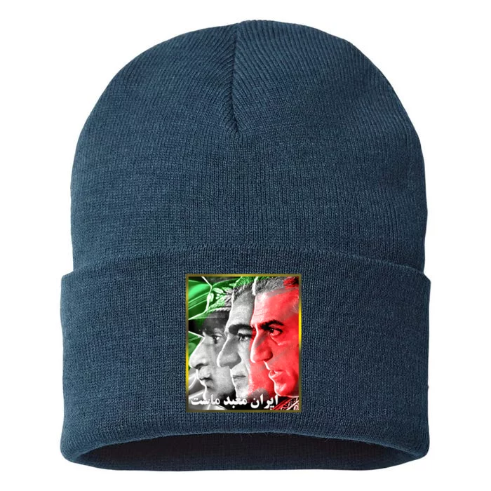 Pahlavi Kings Iran Is Our Temple Sustainable Knit Beanie