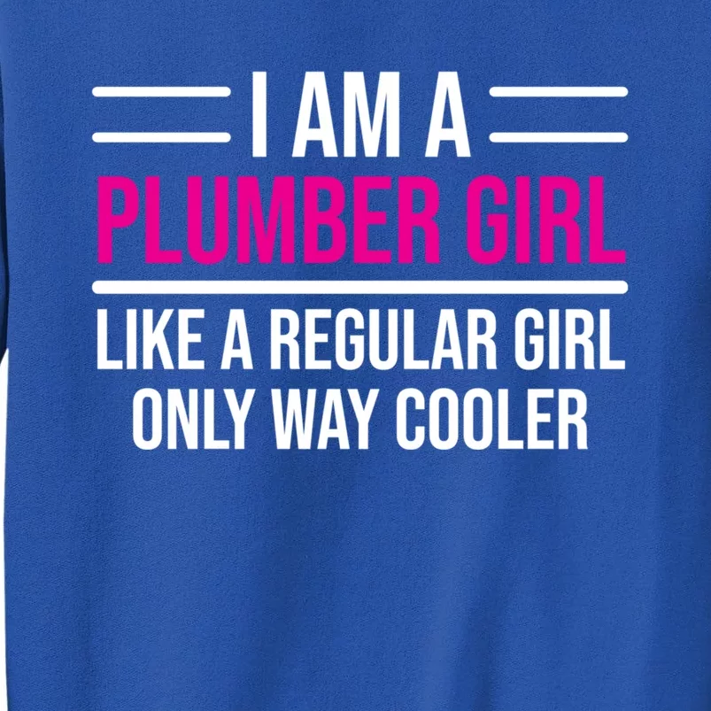 Plumber Like A Regular Cool Plumbing Cute Gift Sweatshirt