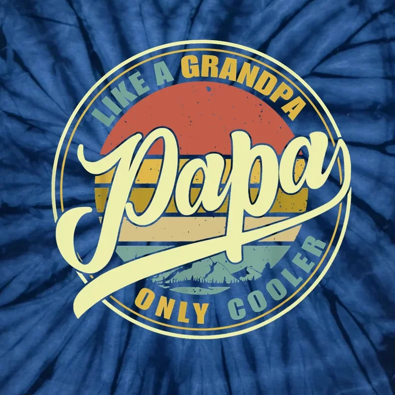 PAPA Like A Grandpa ONLY COOLER Funny Dad Papa Definition Tie-Dye T-Shirt