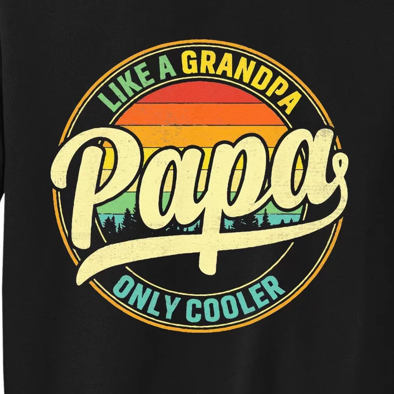 PAPA Like A Grandpa ONLY COOLER Funny Dad Papa Definition Tall Sweatshirt