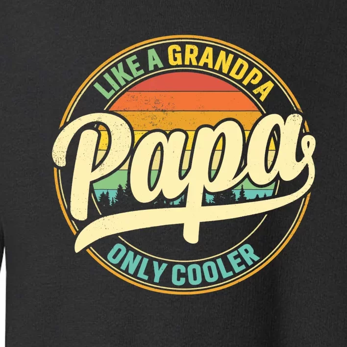 PAPA like a Grandpa ONLY COOLER Father's Day Papa Definition Toddler Sweatshirt