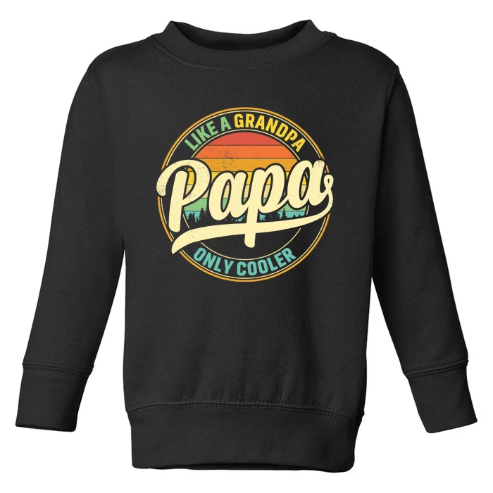 PAPA like a Grandpa ONLY COOLER Father's Day Papa Definition Toddler Sweatshirt